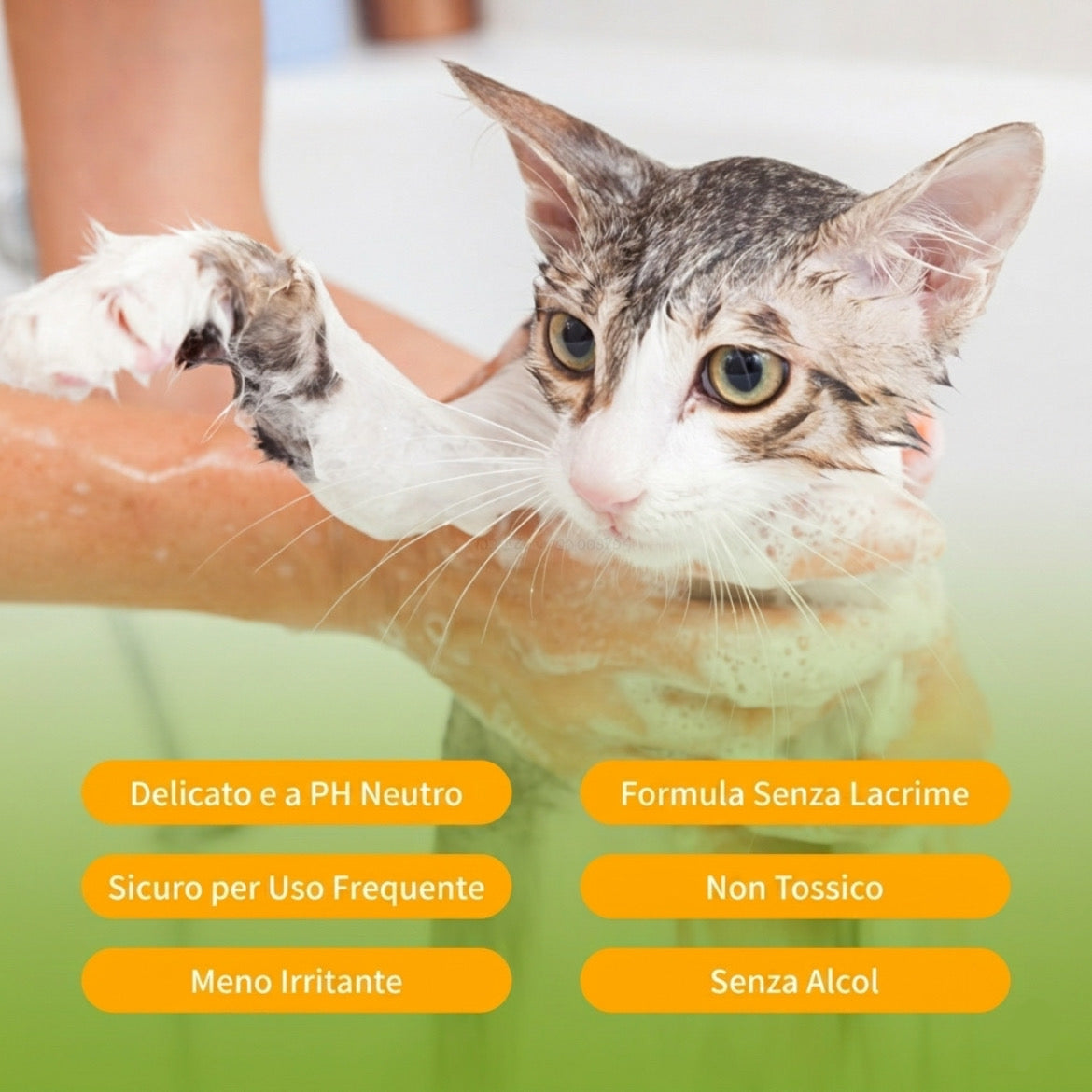 Nobleza Shampoo al Cocco per Cuccioli Cani e Gatti 250ml