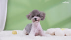 Nobleza Shampoo al Cocco per Cuccioli Cani e Gatti 250ml