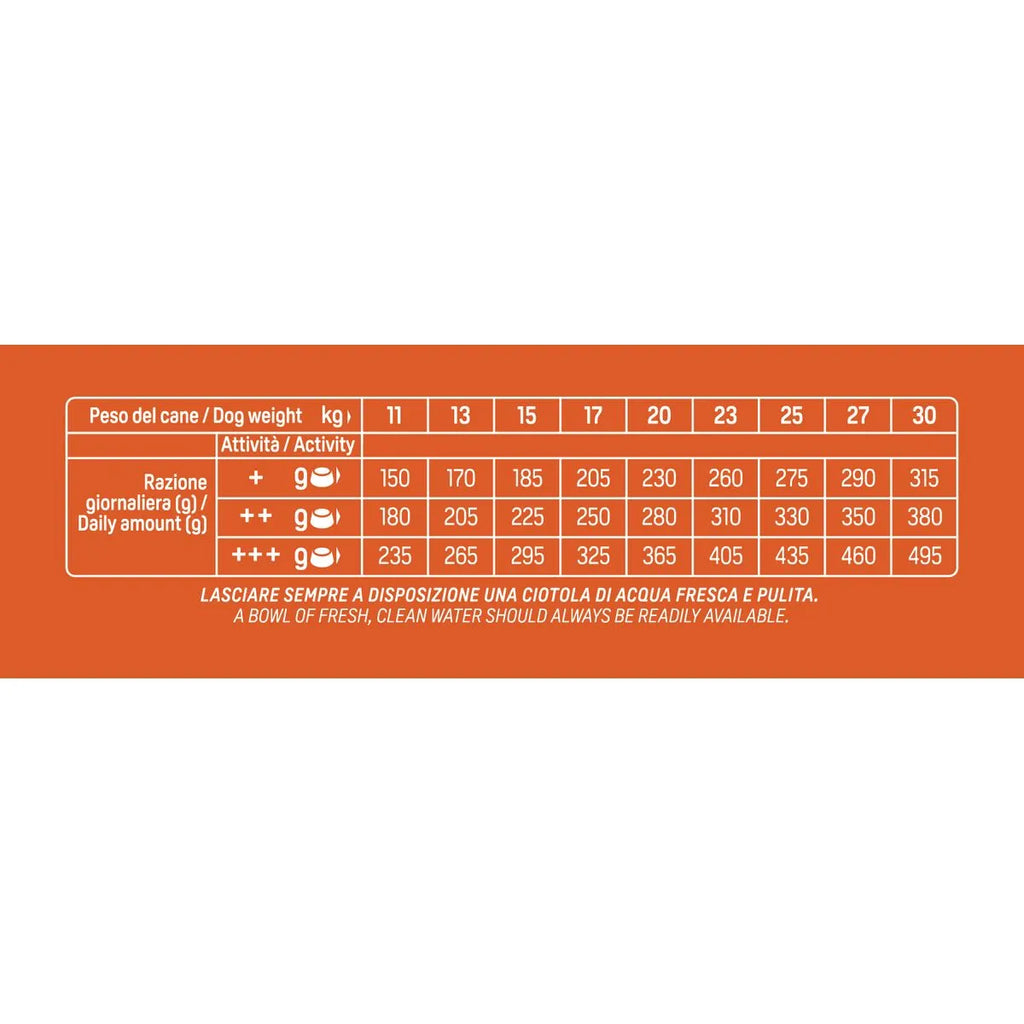 Natural Trainer Daily Nutrition Medium Adult con Manzo